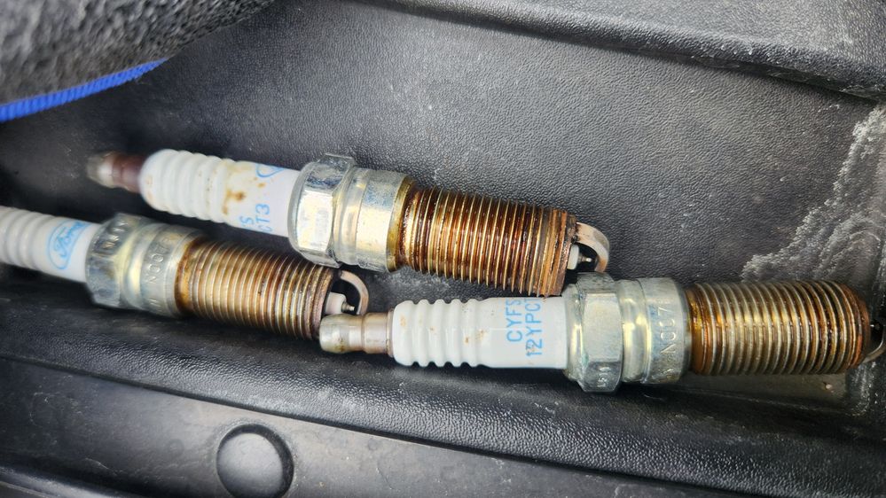 2025-10-24 14.05.49.jpg