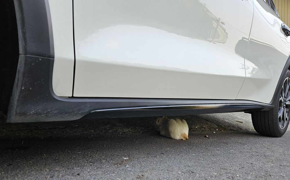 2026-03-19 16.28.15.jpg