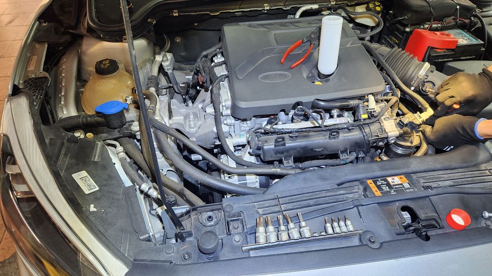 2025-10-11 14.54.03.jpg