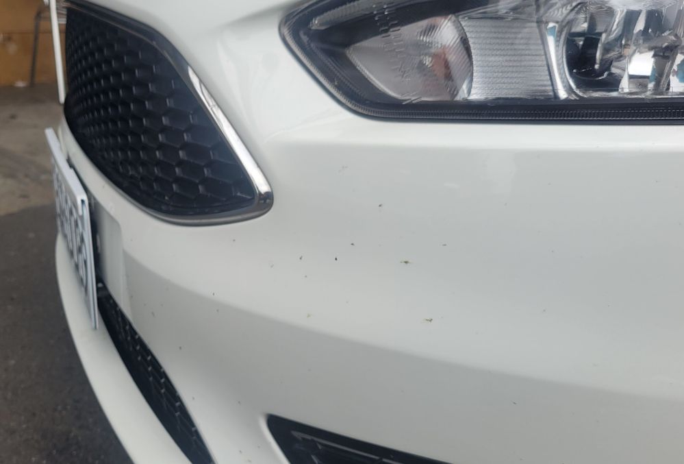 2025-02-09 16.42.59.jpg